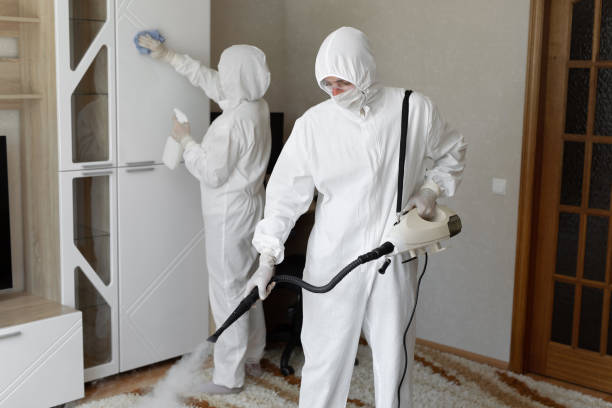 Best Toxic Mold Removal  in Bazon, CA