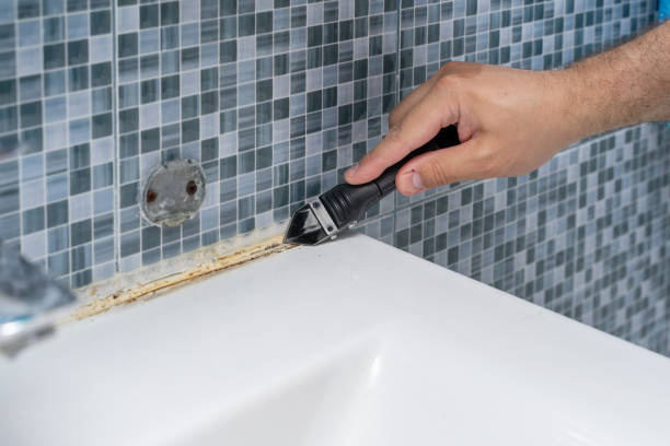 Office Mold Removal Services in Cabazon, CA