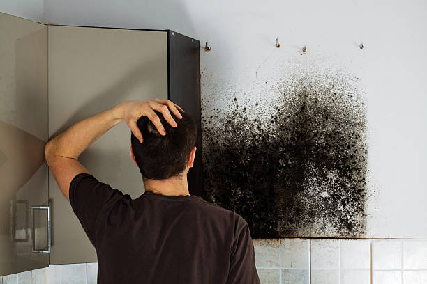 Best Crawl Space Mold Removal  in Bazon, CA